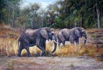 dw009dD 動物の象 Oil Paintings